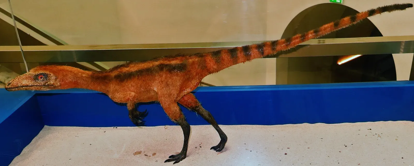 #1 - Sinosauropteryx Was Basically a Ginger (By Ghedoghedo, CC BY-SA 4.0)