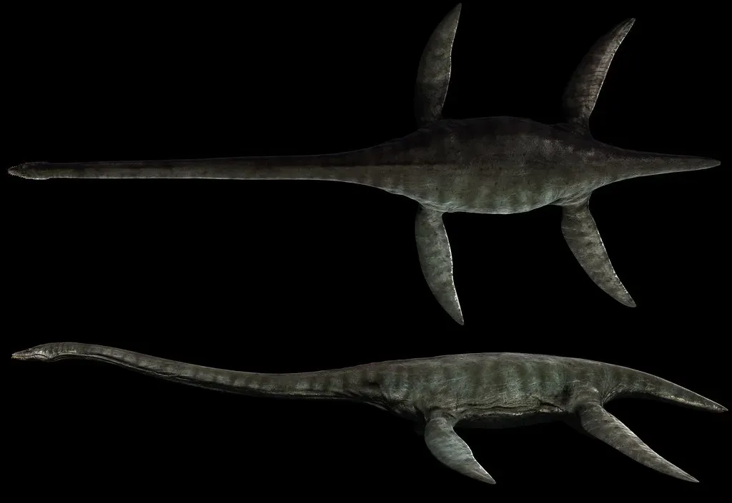 Cancer – Styxosaurus, the Protective Deep-Water Guardian (julian_j_2011, Flickr, CC BY-SA 2.0)