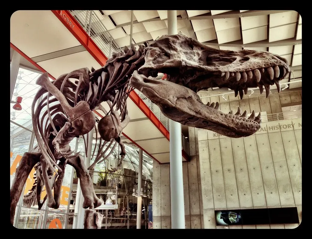 Conclusion: Why Letting Go of Old Dino Myths Actually Feels Amazing (sanbeiji, Flickr, CC BY-SA 2.0)