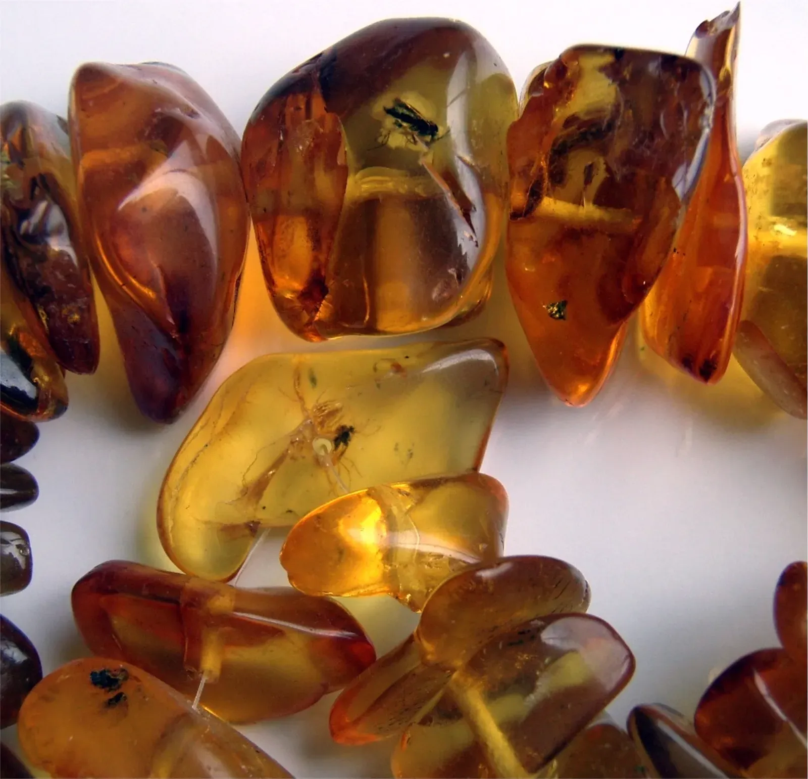 #10 - The Amber Capsule With Creatures Nobody Could Sort Out (By Brocken Inaglory, CC BY-SA 3.0)