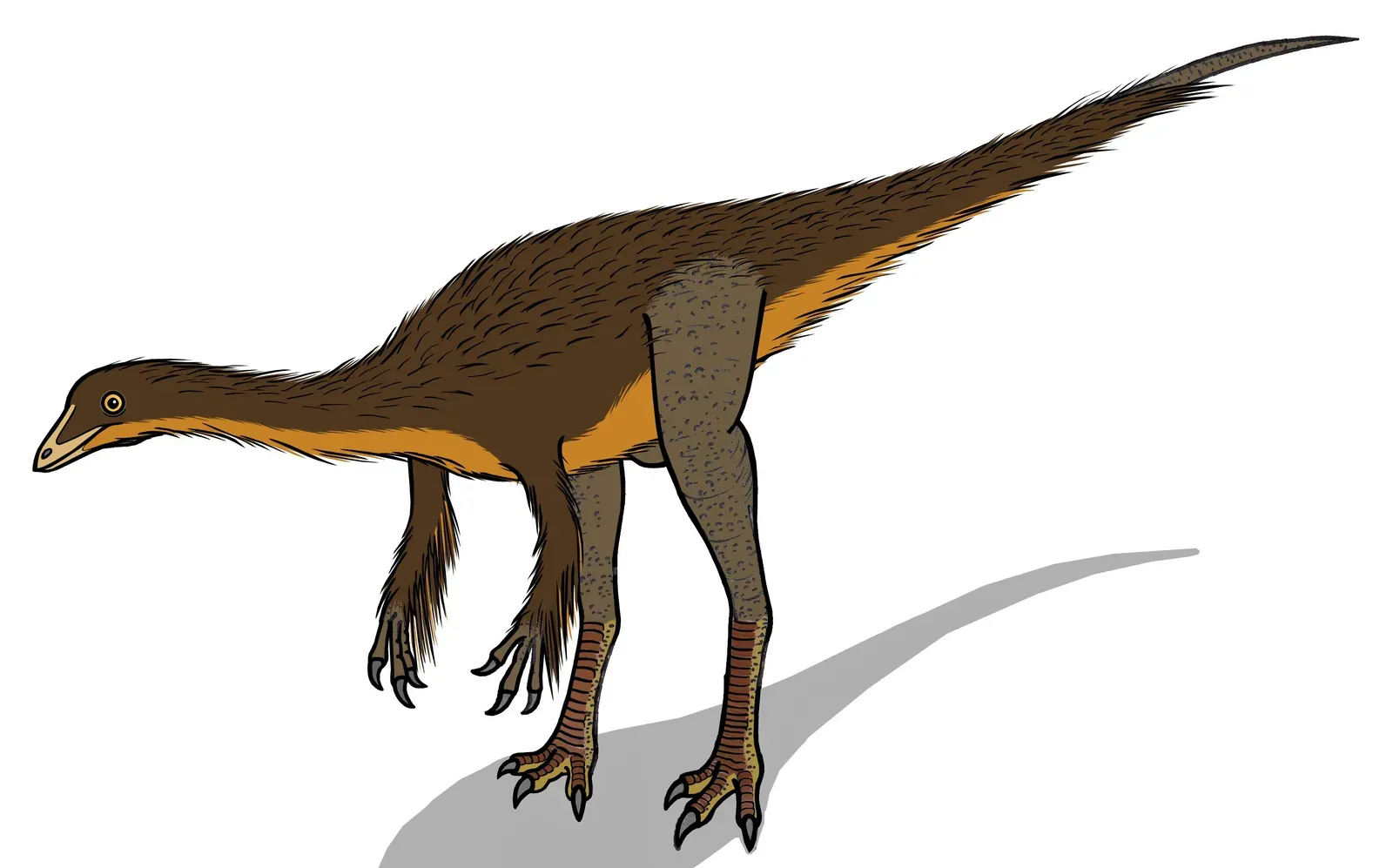 6. Dromiceiomimus – The Blur You’d Only See Out of the Corner of Your Eye (By Conty, CC BY 3.0)