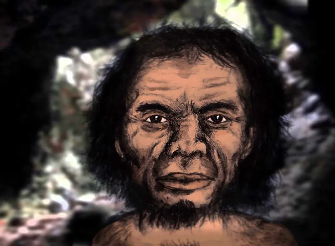 #5 - Homo luzonensis Proved Island Dwarfing Wasn't a One-Off Fluke (By Luzonensis, CC BY-SA 4.0)