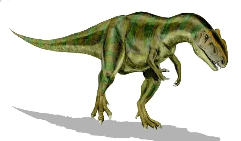 April – Allosaurus: The Bold Initiator (By Nobu Tamura (http://spinops.blogspot.com), CC BY 2.5)