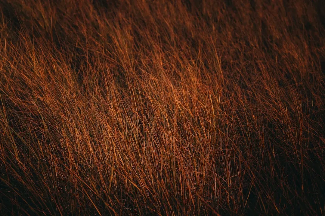 Earthy Tones: Virgo's Practical Perfection (Image Credits: Unsplash)