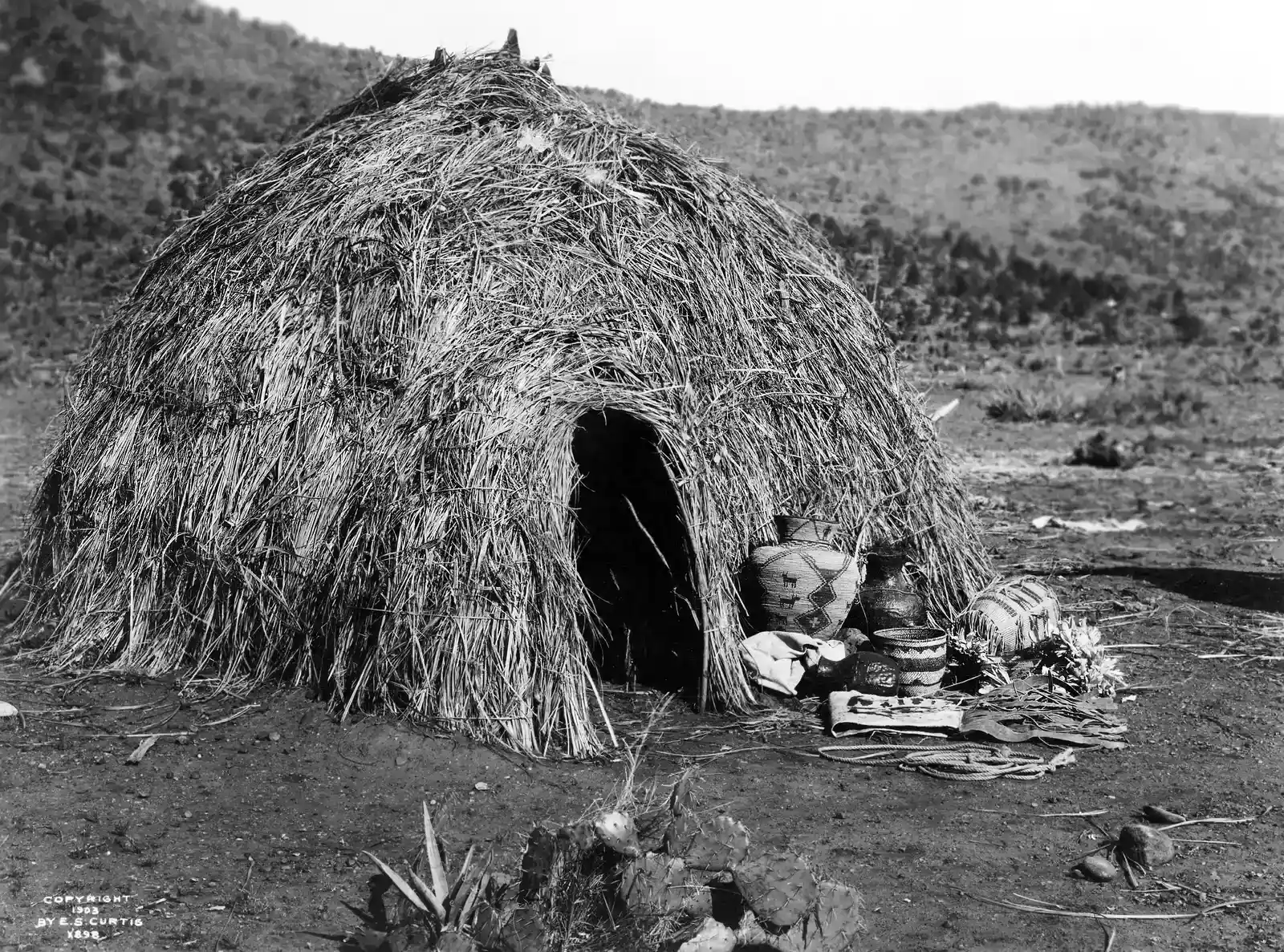 Conclusion: Adaptation as Intelligence, Not Accident (By Edward S. Curtis, Public domain)