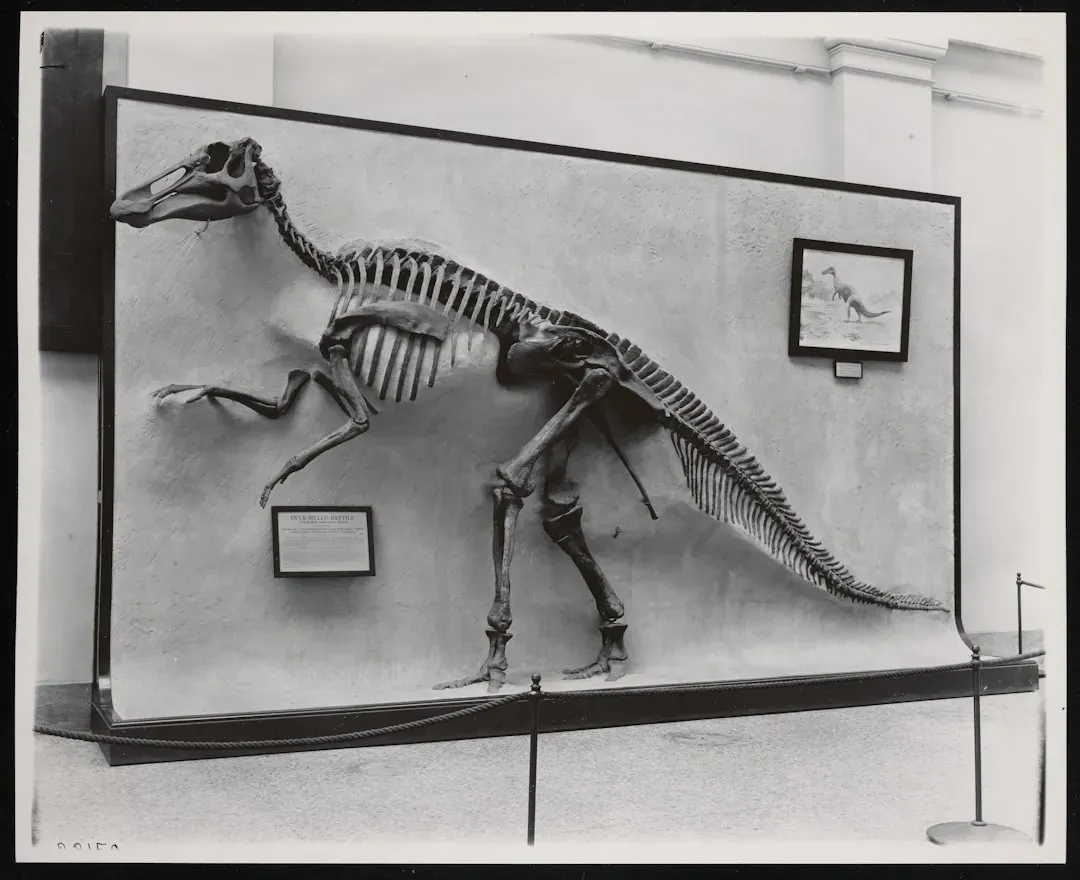 Denver, Colorado – A metropolis on the edge of dinosaur country (Image Credits: Unsplash)
