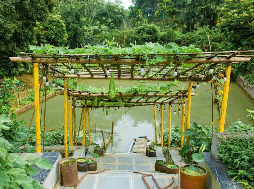 Aquarius: The Experimental, Eco-Forward Future Garden (Image Credits: Pexels)