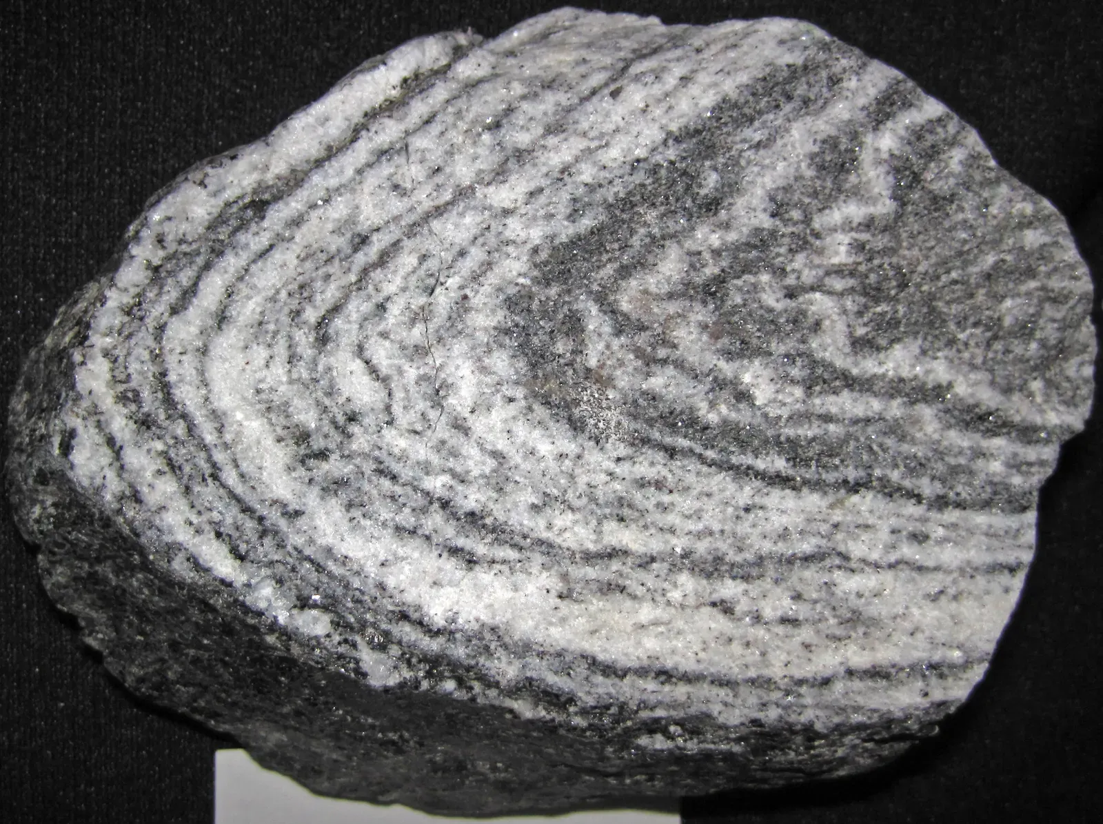 7. Morton Gneiss and the Ancient Crust of the Midwest, Minnesota (Gneiss 2, CC BY 2.0)