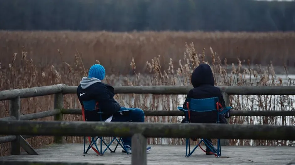 Social Proof: If They’re Calm, I Can Be Calm (Image Credits: Pexels)
