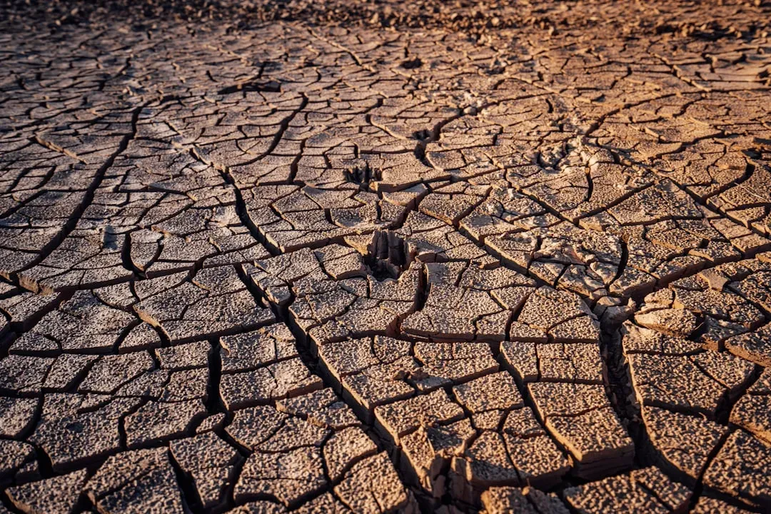 #8 - It Made Soil More Vulnerable to Water Erosion for Decades After (Image Credits: Unsplash)