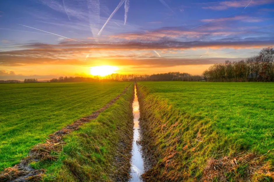 #1 A Ditch Records How Water Really Moves Through the Landscape (Image Credits: Pexels)