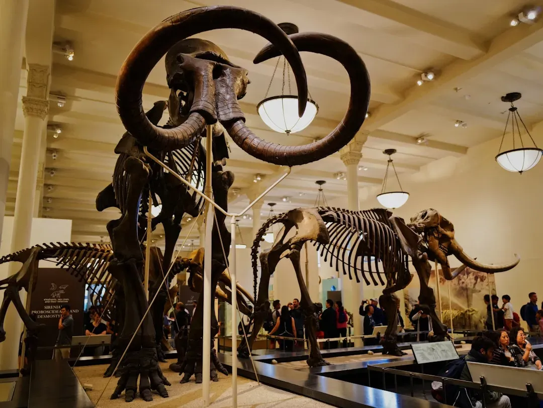 #7 - Woolly Mammoths Had Their Proportions Wrong Long After We Knew Better (Image Credits: Unsplash)