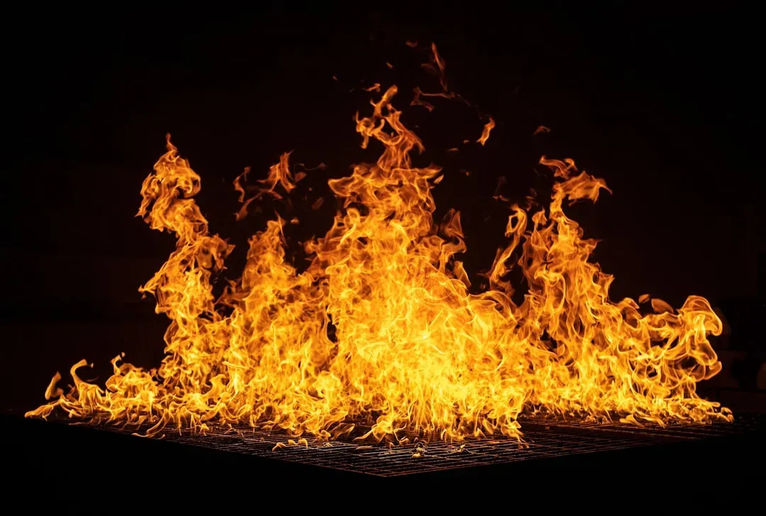 1. Controlled Fire: The First Real Superpower (Image Credits: Unsplash)
