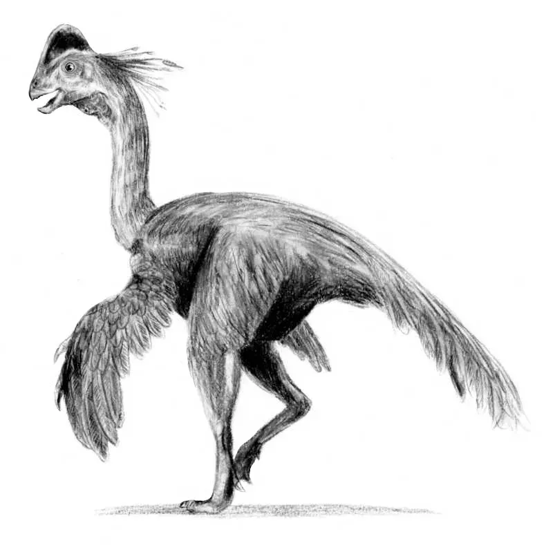 Chirostenotes: The Dinosaur Assembled from Mismatched Parts (Image Credits: Wikimedia)