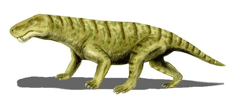 Gorgonopsids: Saber-Toothed Killers Before Mammals Took Over (By Nobu Tamura (http://spinops.blogspot.com), CC BY 2.5)