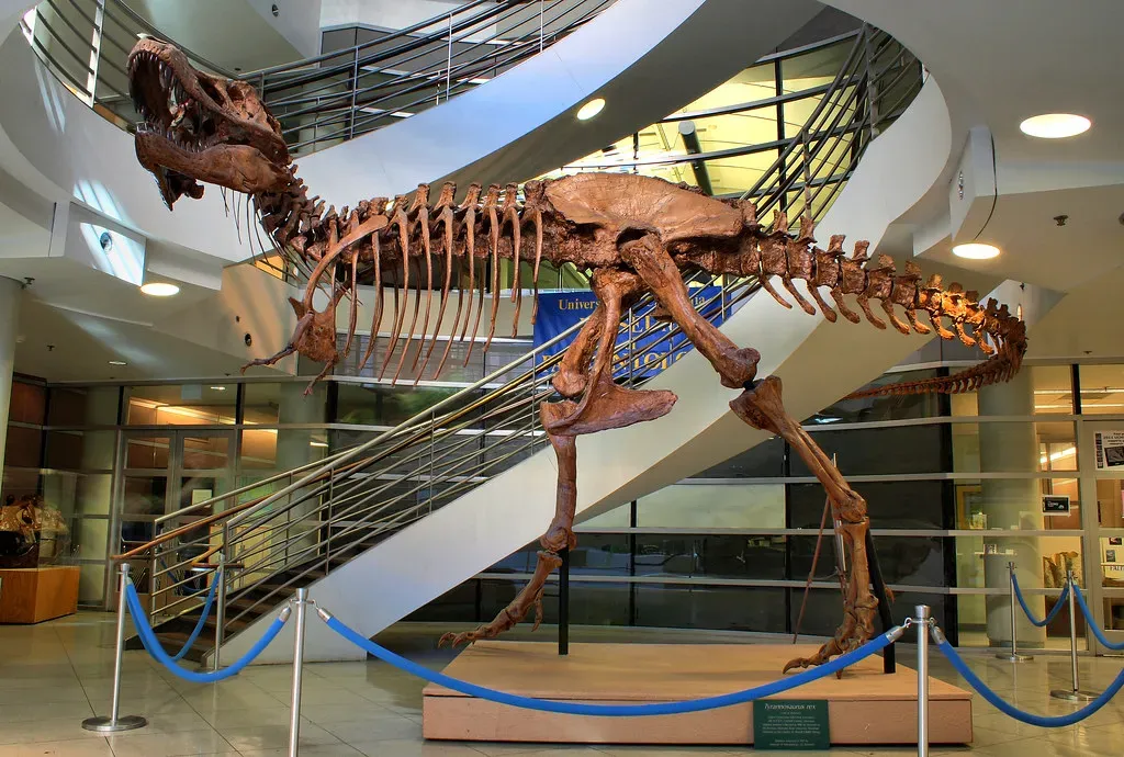 #4 - Soft Tissue Has Survived Inside Dinosaur Bones (Monica's Dad, Flickr, CC BY 2.0)