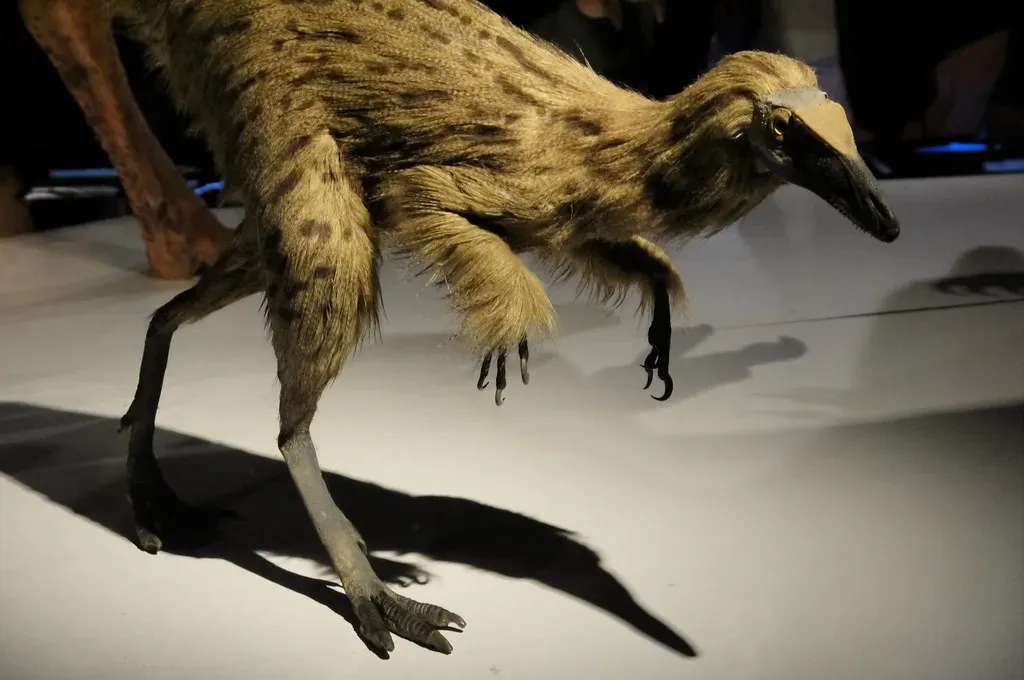 The Smoking Gun: Feathered Tyrannosaur Relatives (edenpictures, Flickr, CC BY 2.0)