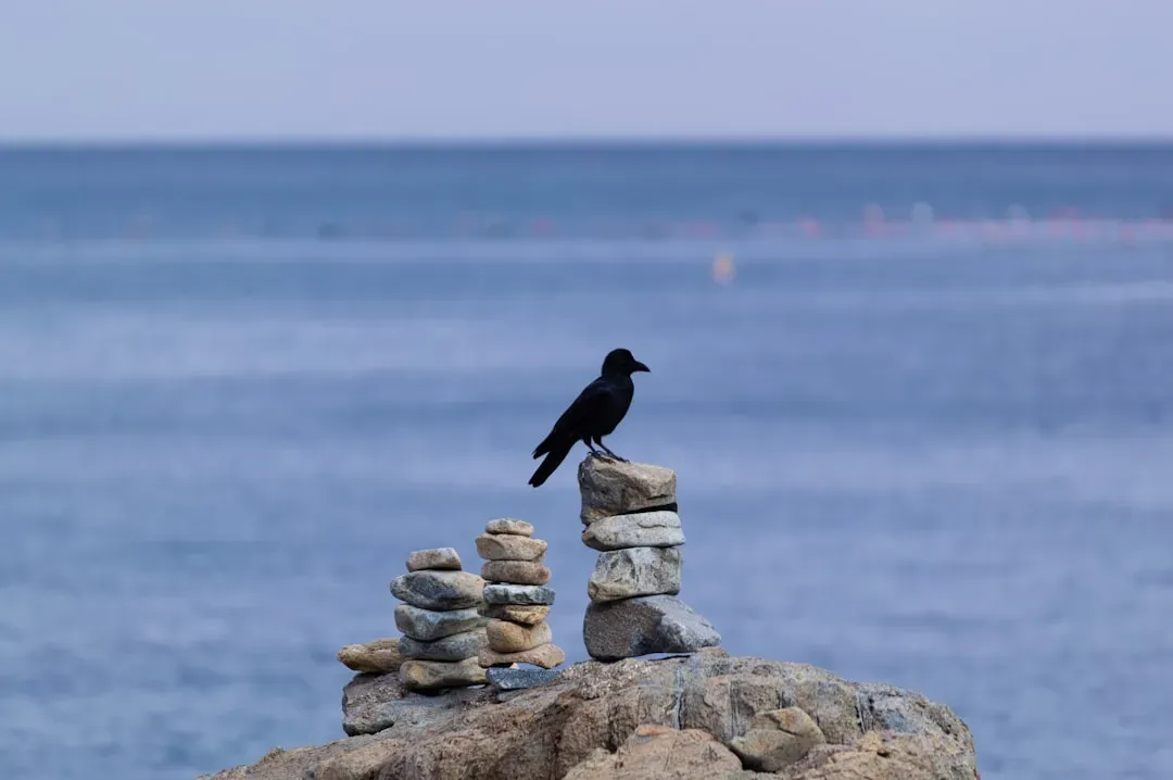 You're Connected To The Spirit World And Ancestral Wisdom (Image Credits: Unsplash)