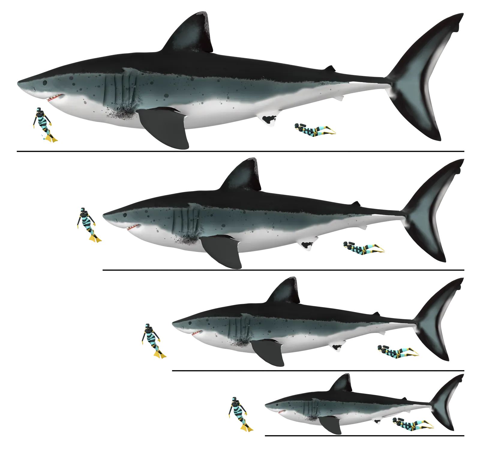 Baby Sharks and Growing Up Gigantic (Image Credits: Wikimedia)
