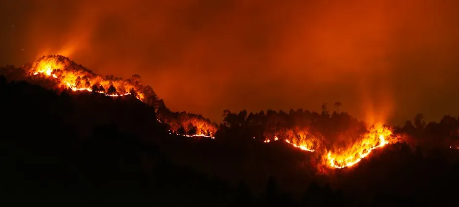 8. The Global Wildfire Theory: Earth Burned Before It Froze (Image Credits: Pexels)