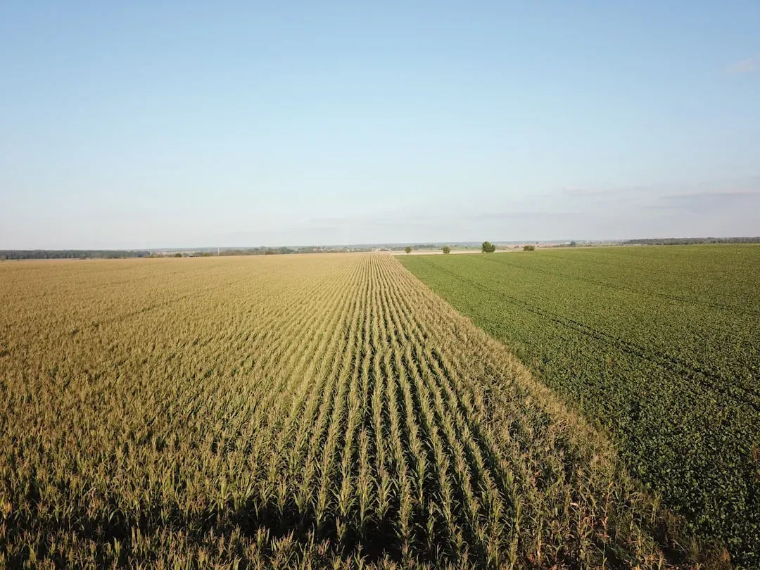 The Birth of the Eastern Agricultural Complex (Image Credits: Unsplash)