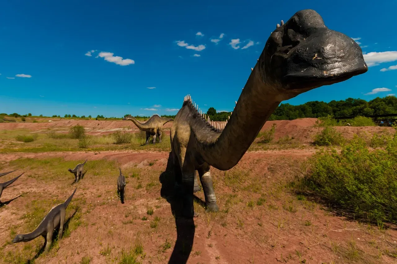 Rewriting the Diplodocus Myth: Not a Monster, but Not a Plush Toy (Image Credits: Pixabay)