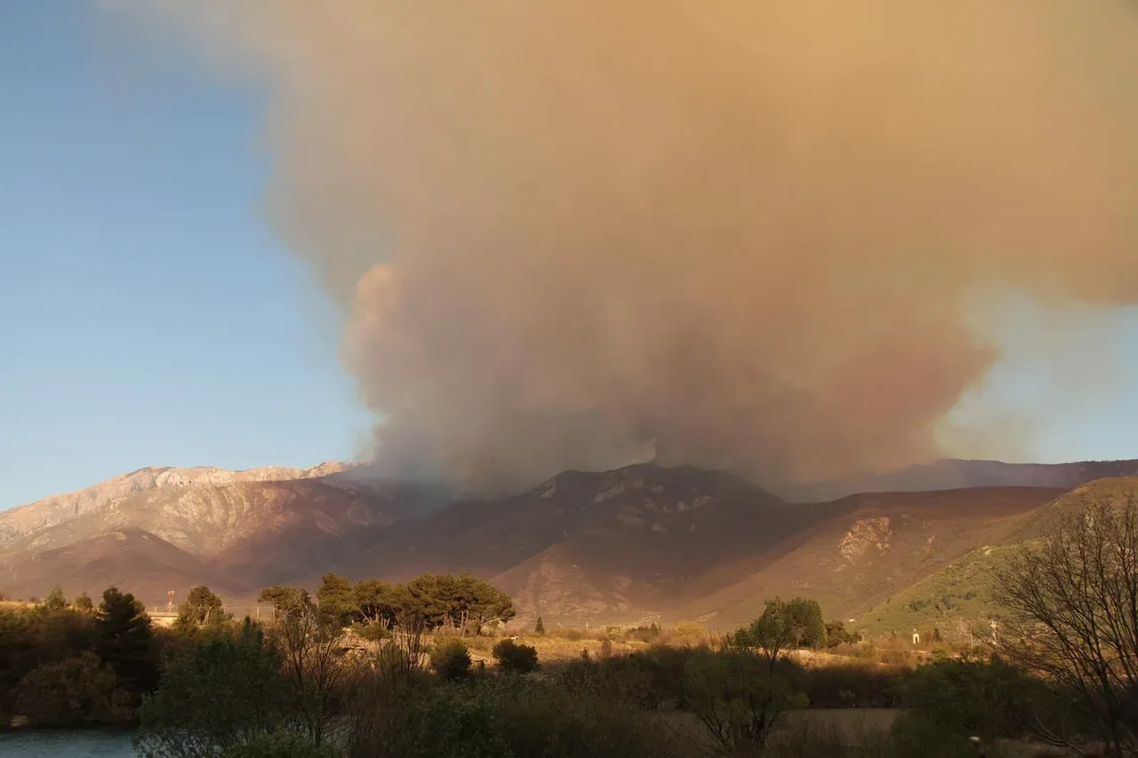 Conclusion: Lessons from the Ruins (Image Credits: Pixabay)