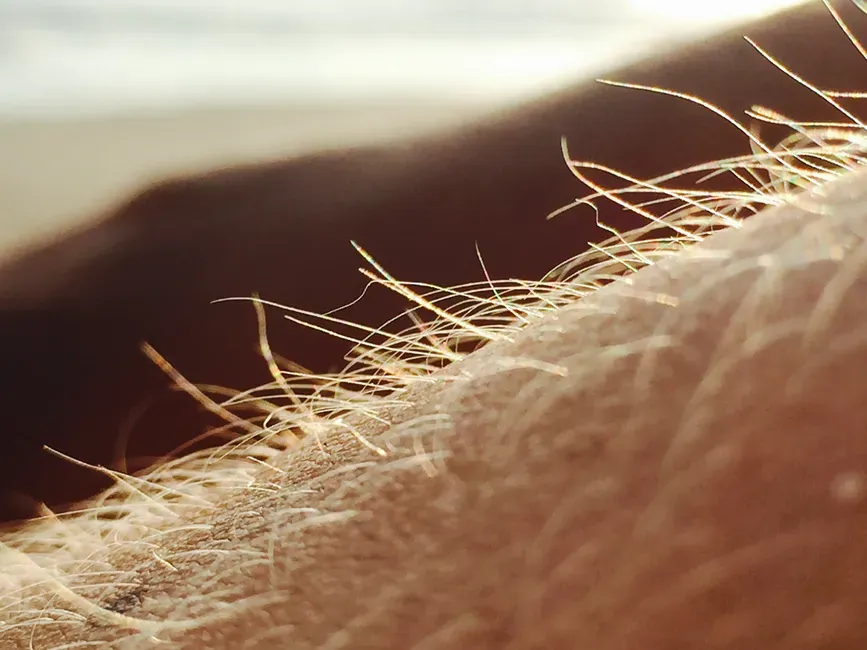 3. Our Bodies Are Covered In Hair - We Just Turned Most Of It “Off” (Image Credits: Pexels)