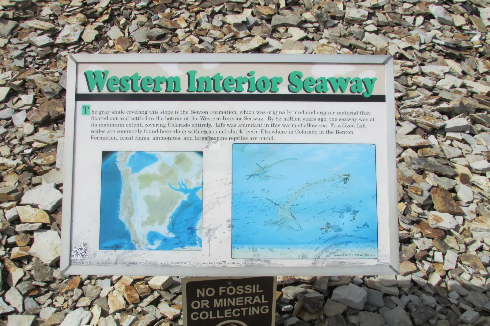 The Final Act: Seaway Retreat and Dinosaur Reunification (Image Credits: Wikimedia)