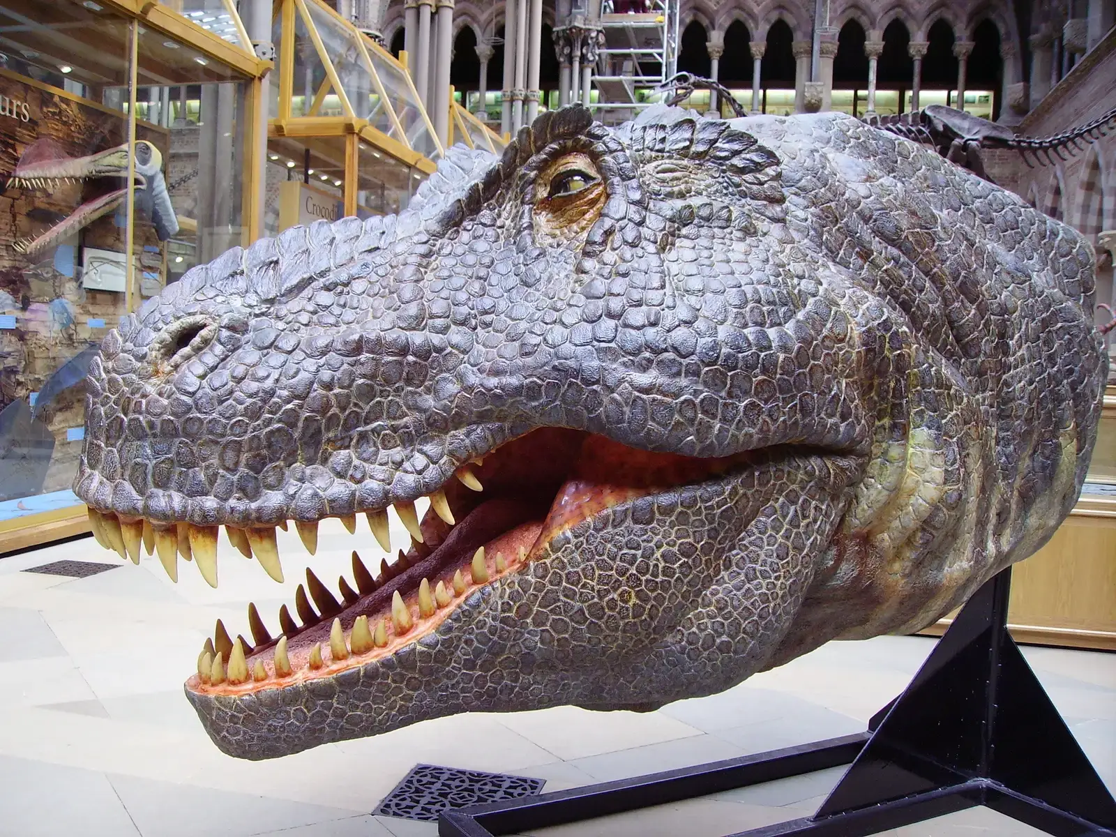 2. T. Rex likely had lips covering its teeth, changing that iconic grin (Transferred from en.wikipedia to Commons by FunkMonk using CommonsHelper., CC BY-SA 3.0)