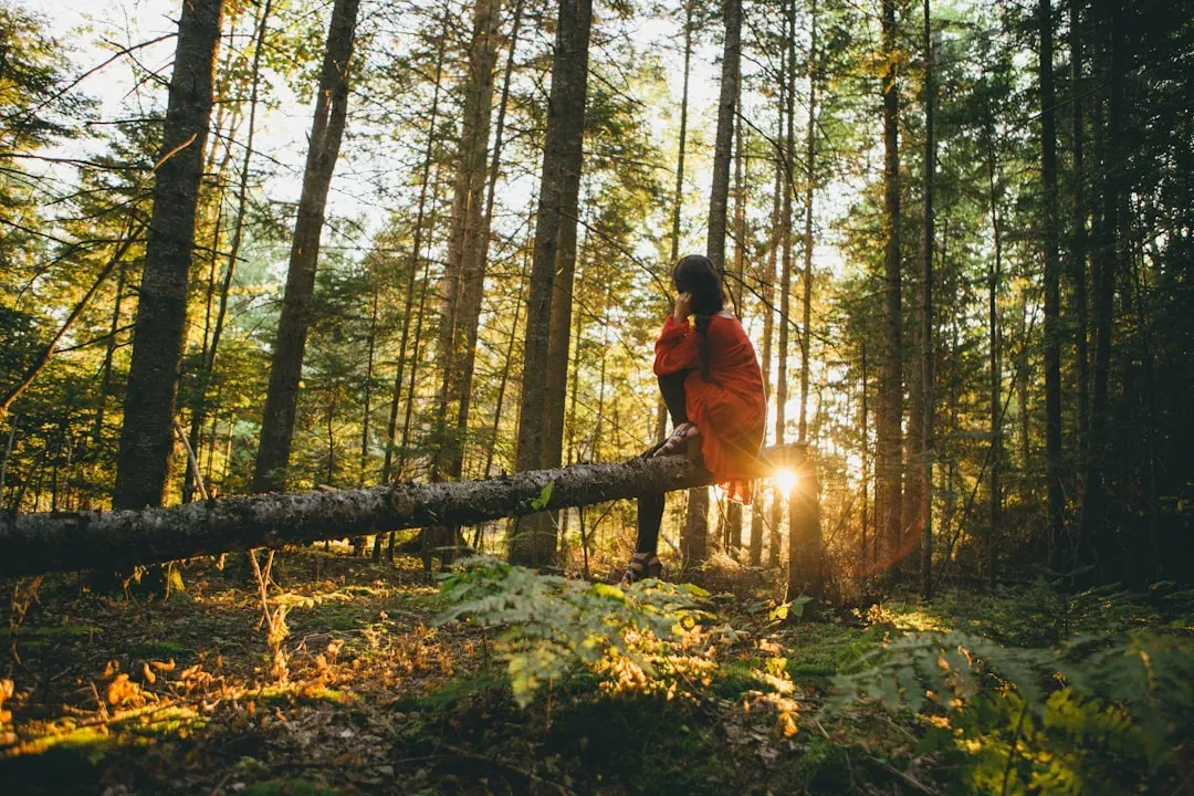 Forests Calm Some People And Spook Others - Both Reactions Make Sense (Image Credits: Unsplash)