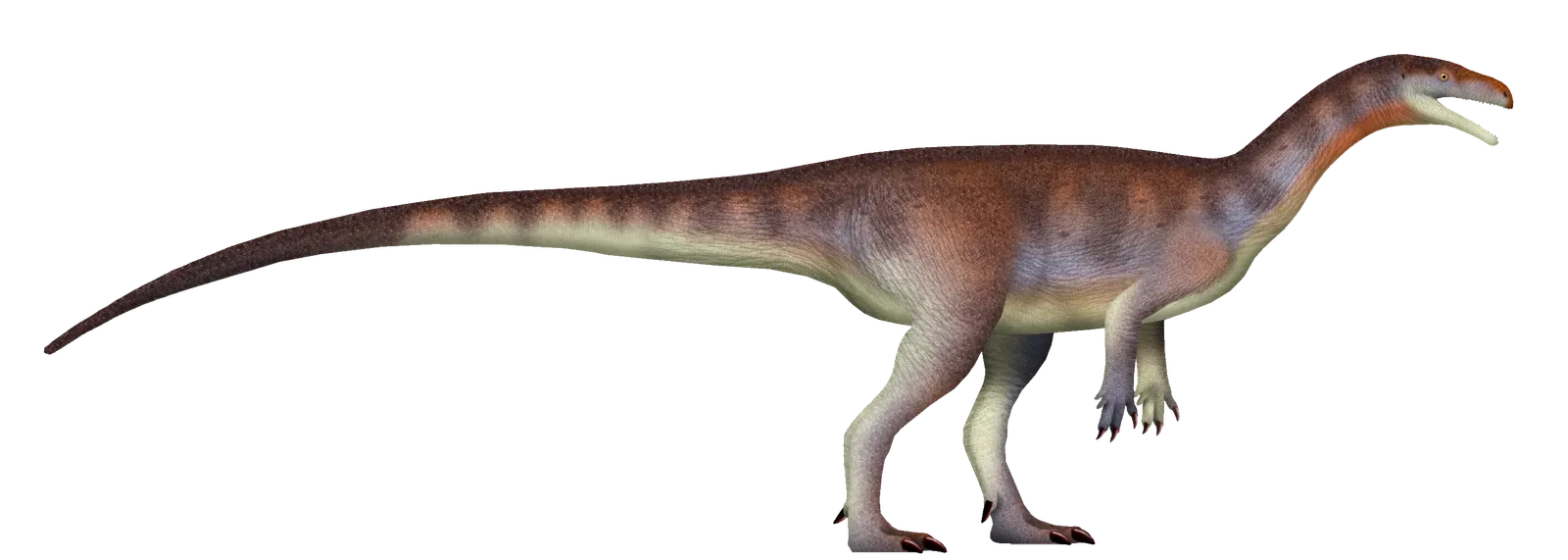 Early Sauropods Started Growing Long Necks Earlier Than We Thought (Image Credits: Wikimedia)