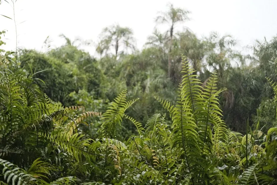 Plants, Forests, and Insects: How the Green World Hit Restart (Image Credits: Pexels)