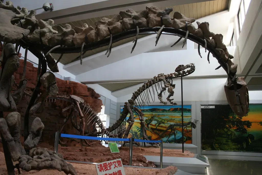 Conclusion: Time to Retire the School Photo, Not the Dinosaurs (Image Credits: Flickr)