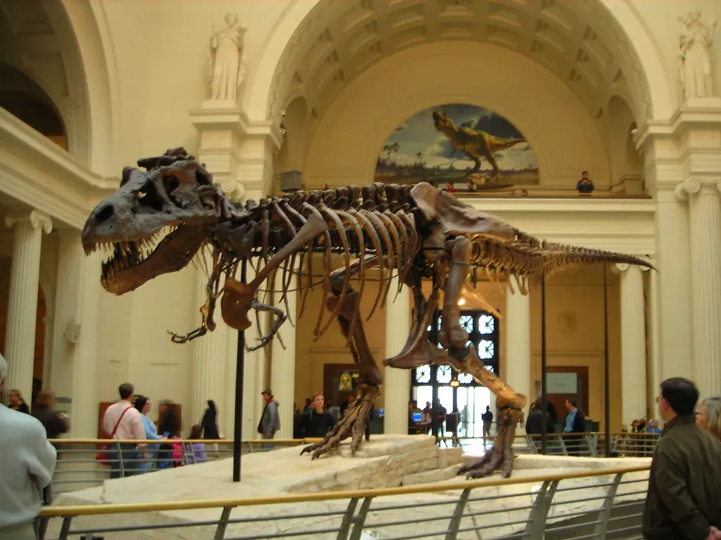 5. Sue the T. rex: A Monster That Told Us About Dinosaur Biology (Lisa Andres, Flickr, CC BY 2.0)