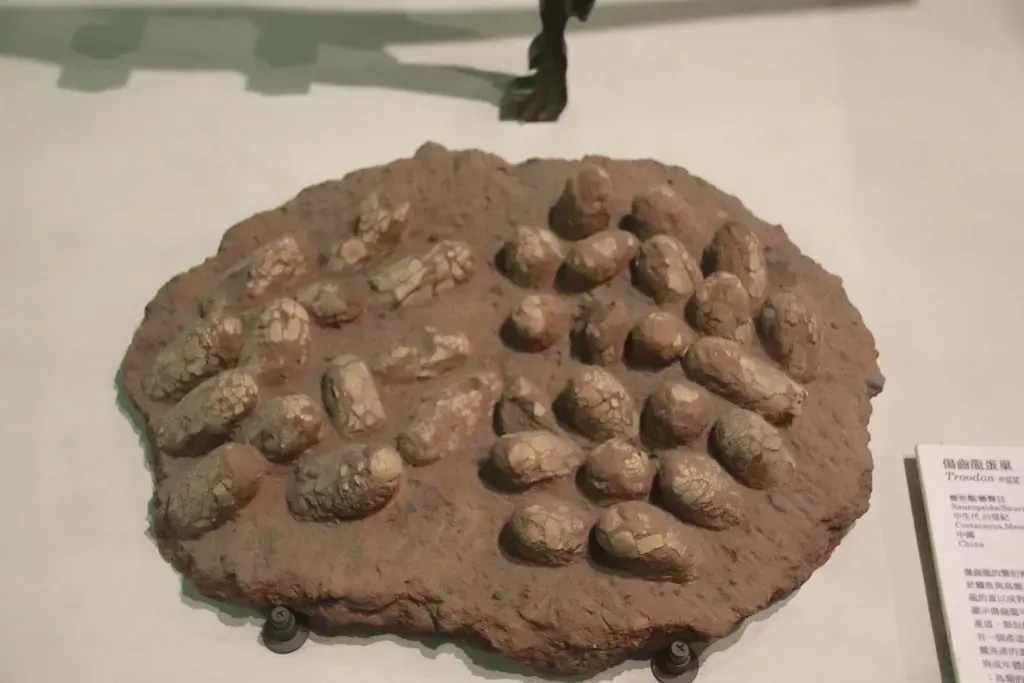 Nests, Eggs, and Parenting: Family Life in the Fossil Record (Image Credits: Flickr)