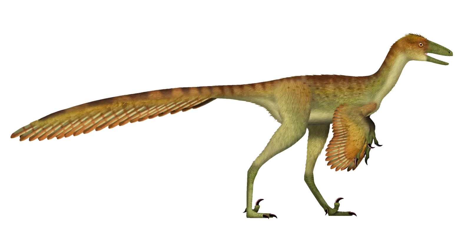 Your New Mental Picture of Dinosaurs as Warm-Blooded Hunters (By TotalDino, CC BY 4.0)