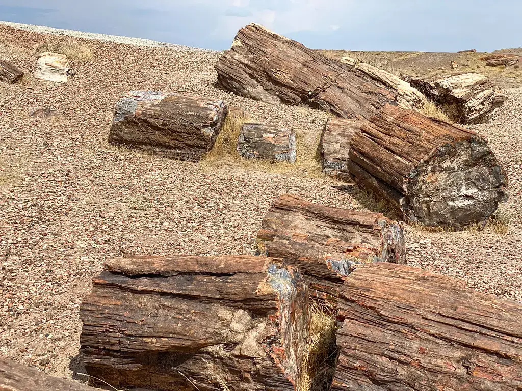 5. Petrified Forest National Park, Arizona (kevin dooley, Flickr, CC BY 2.0)