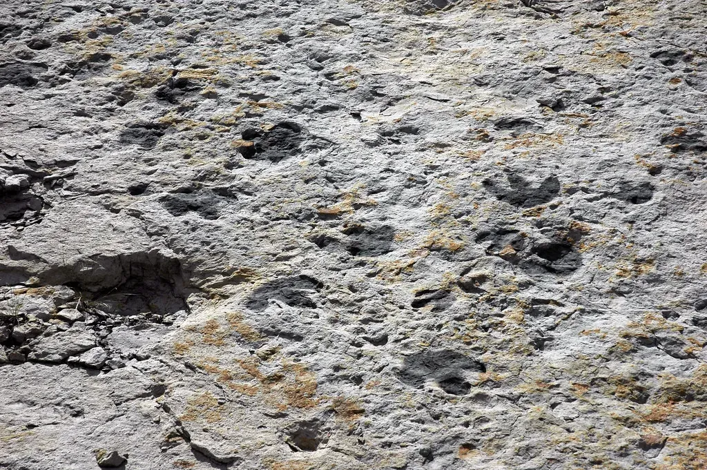 10. The Dinosaur Freeway, New Mexico to Colorado - An Ancient Highway of Footprints (James St. John, Flickr, CC BY 2.0)
