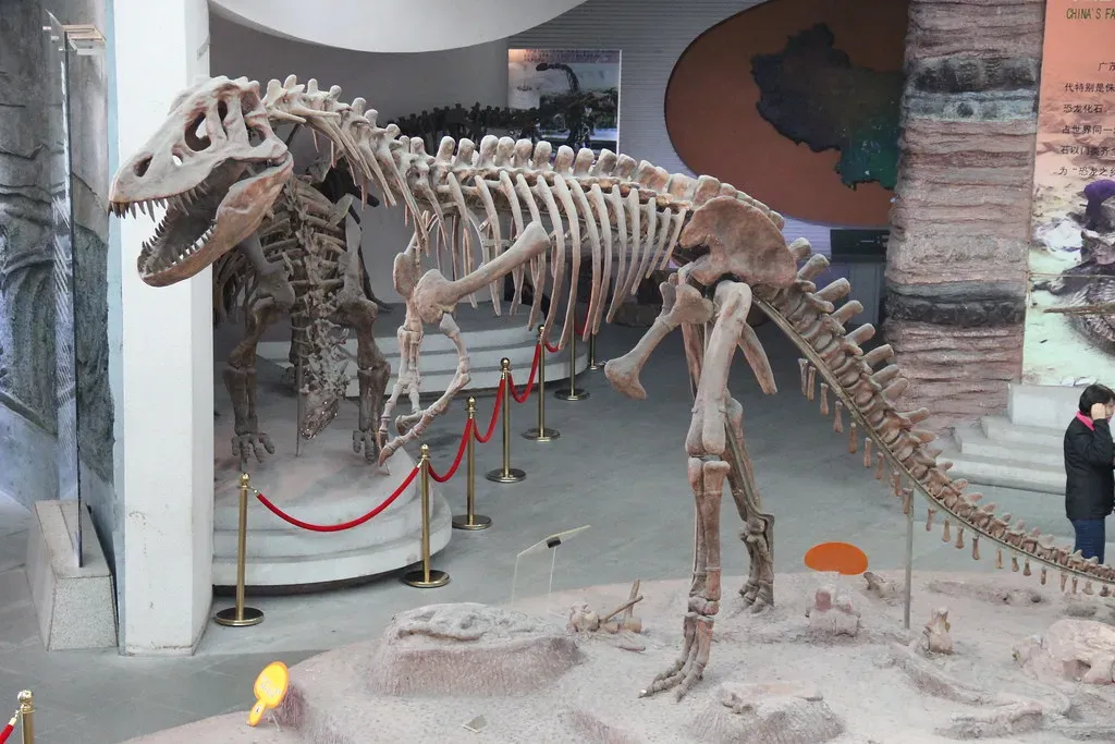 Recent Discoveries About Tyrannosaurus Rex Growth (Image Credits: Flickr)