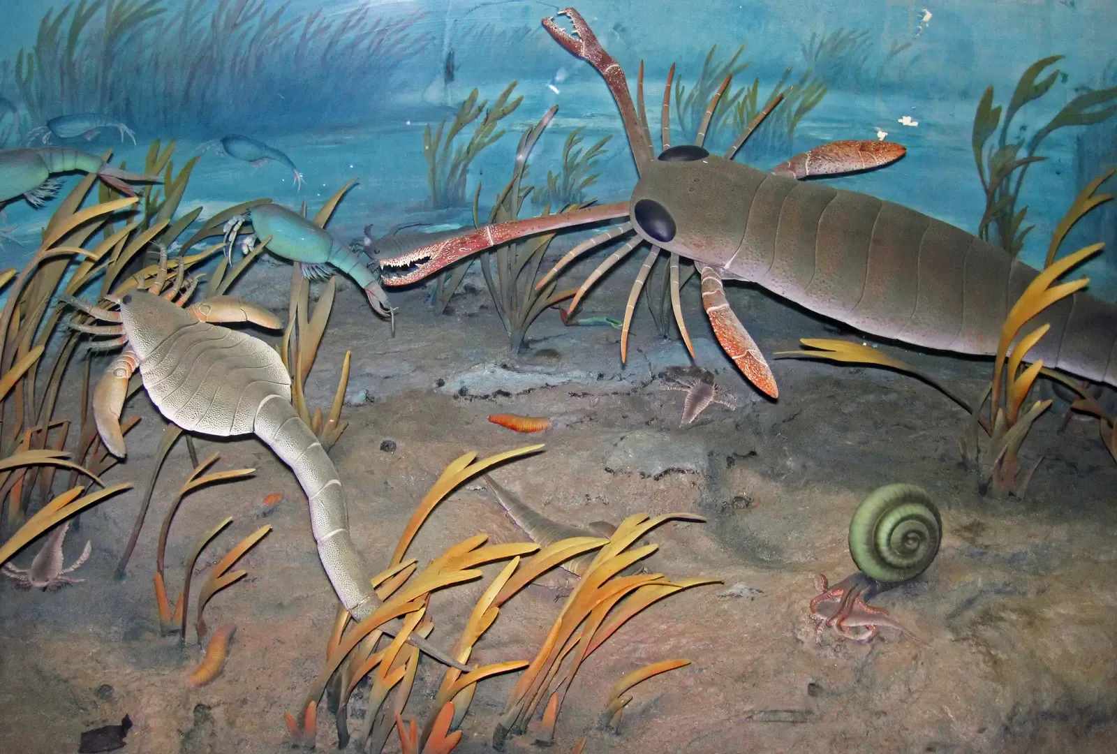 The Sea Scorpions: Eurypterids and Their Terrifying Reign (Image Credits: Wikimedia)