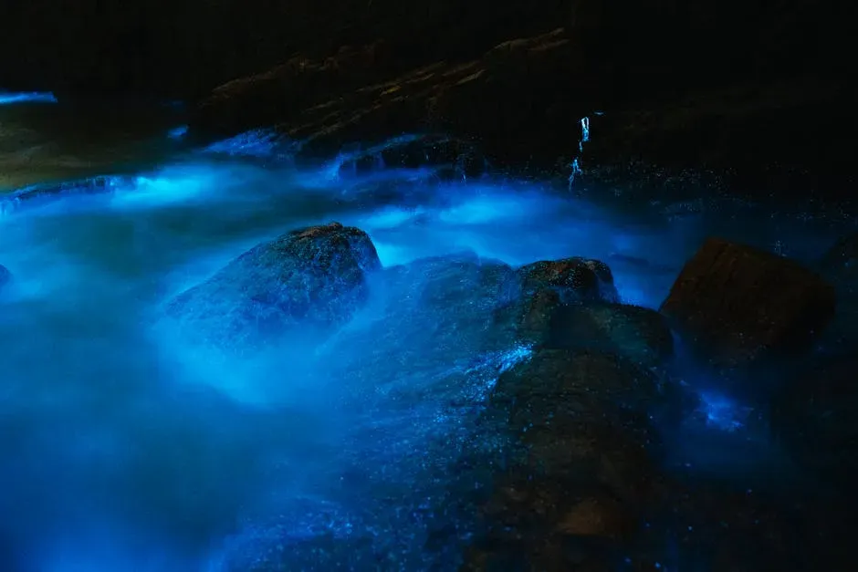 10. Prehistoric Bioluminescence Changed Nighttime Ocean Life Forever (Image Credits: Pexels)
