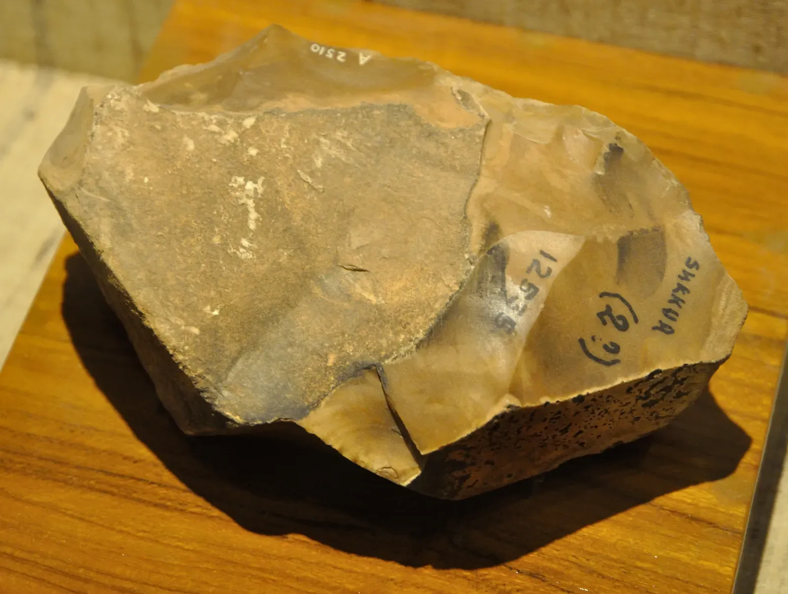 Messy Hands, Shared Minds: Learning to Make Tools Together (By Biswarup Ganguly, CC BY 3.0)