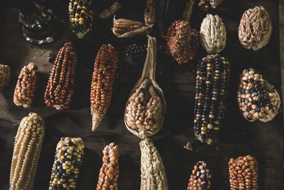 3. Apache Food Strategies Went Far Beyond Hunting (Image Credits: Pexels)