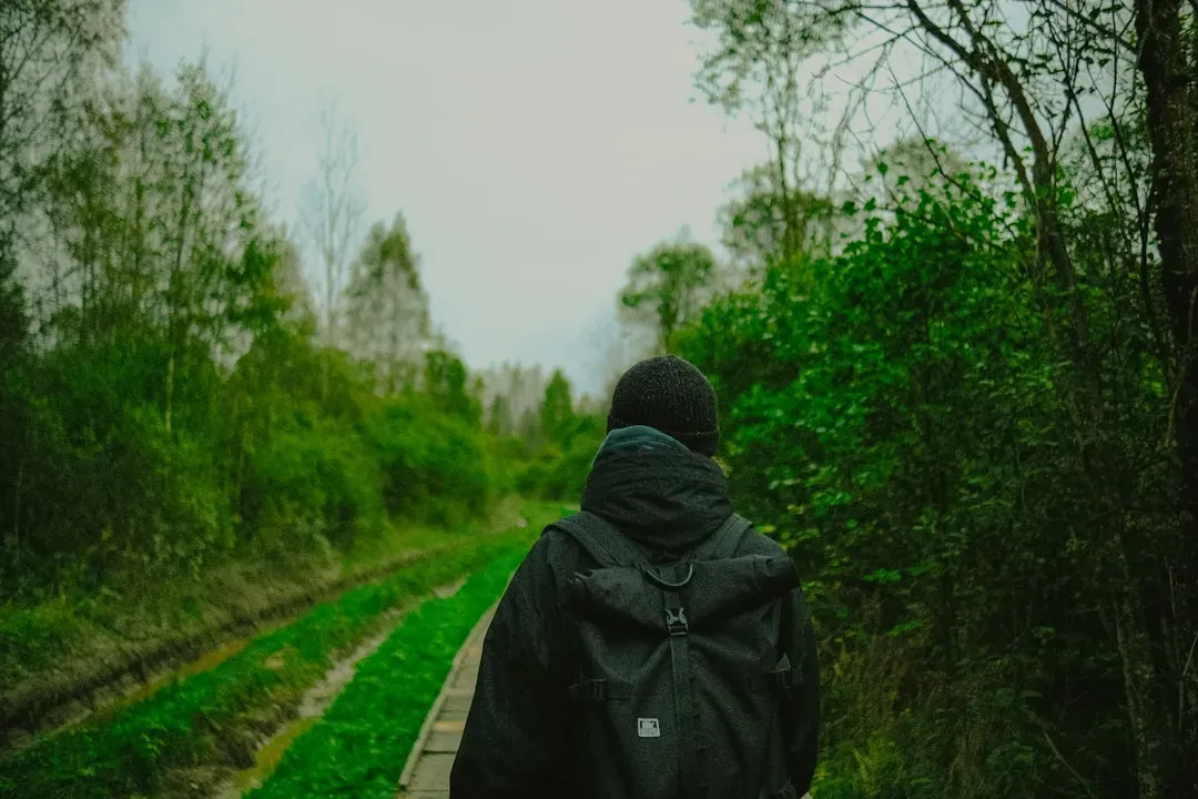 You Don't Chase Perfection (Image Credits: Unsplash)