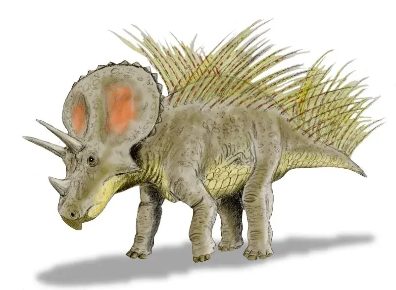 Triceratops: The Three Horned Tank (Image Credits: Wikimedia)