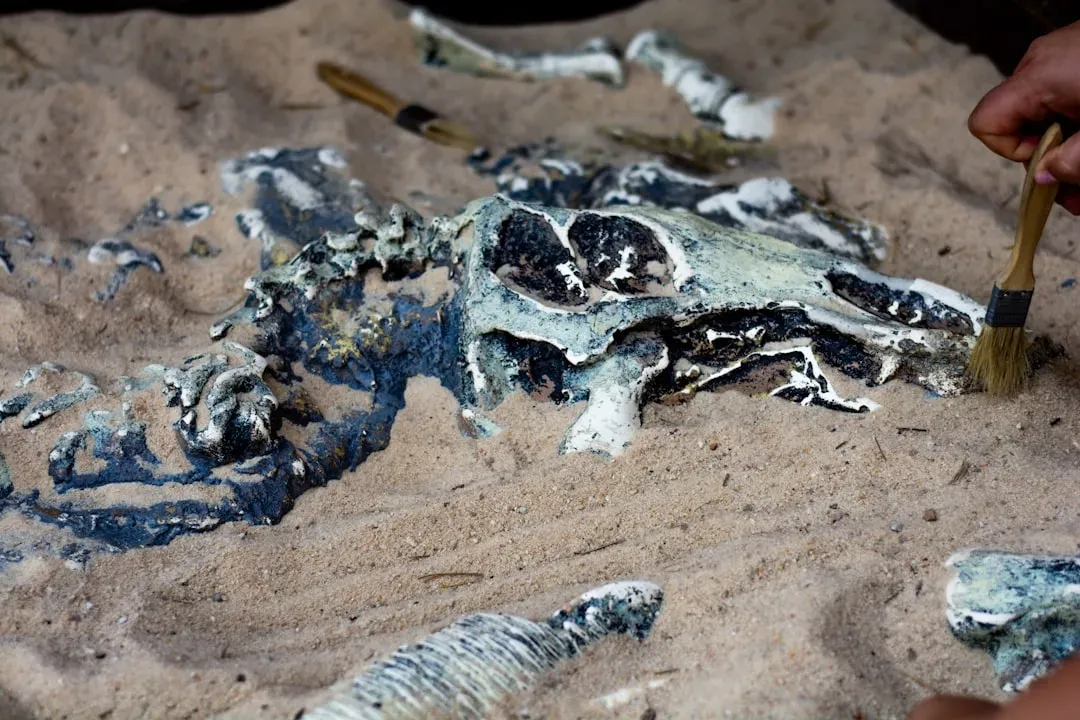 Backyard Bone Hunters: How Ordinary People Find Extraordinary Fossils (Image Credits: Unsplash)