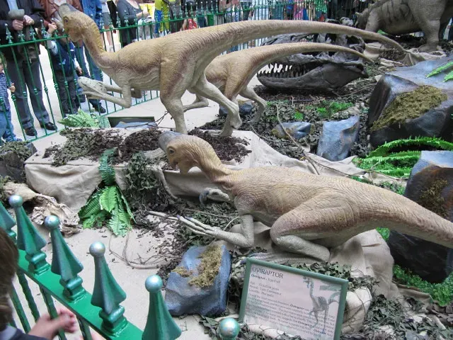 Looking at the Relatives for Clues (Image Credits: Flickr)