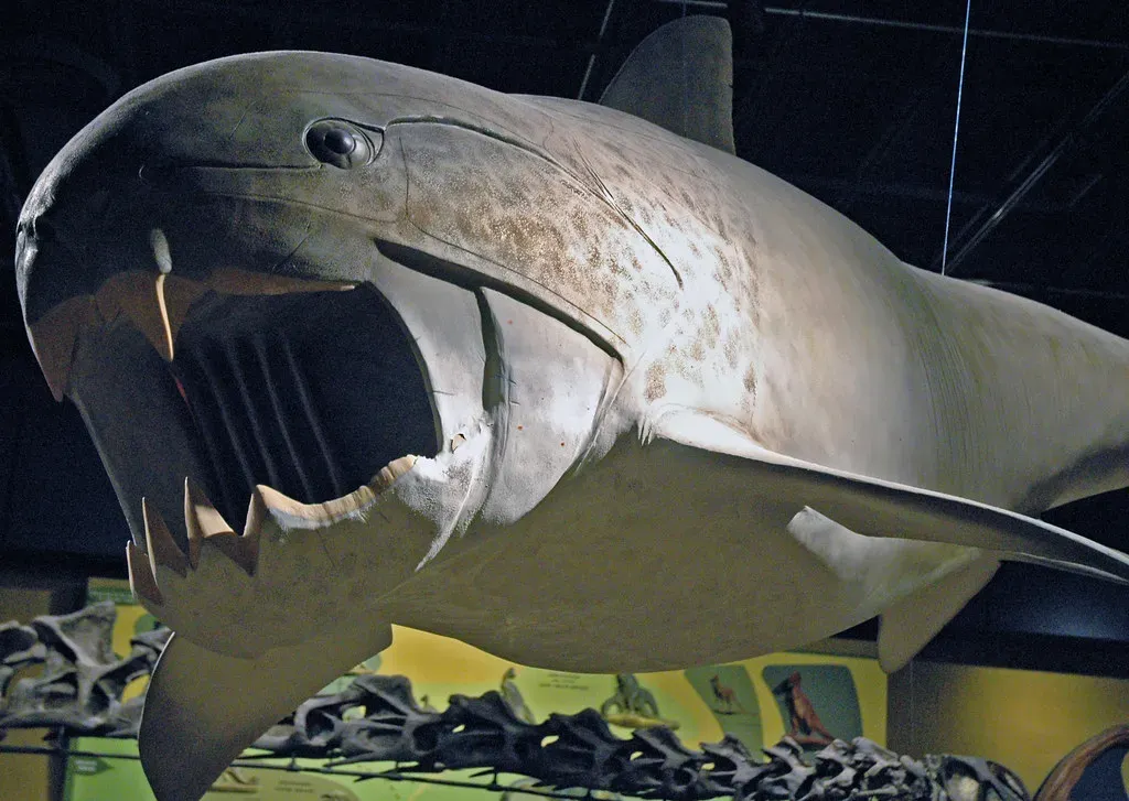 2. Dunkleosteus: The Armored Fish With a Bite Stronger Than a T. Rex (James St. John, Flickr, CC BY 2.0)