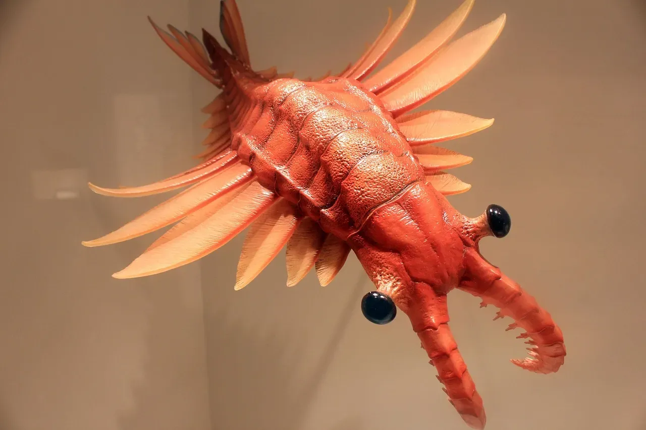 Anomalocaris: Alien-Looking Armor and Distance Defense (Image Credits: Pixabay)